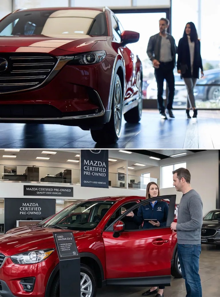 mazda dealer