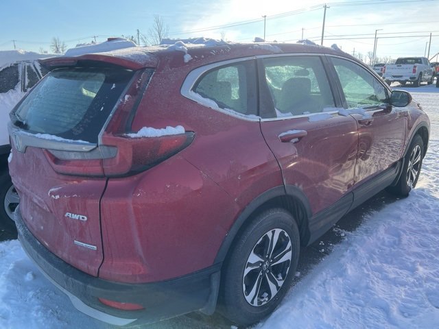 2021 Honda CR-V Special Edition photo 3