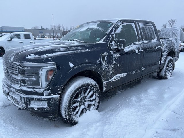 2024 Ford F-150 Platinum's photo