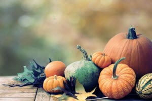 Fall Attractions