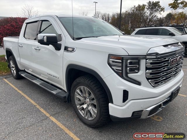 2023 Gmc Sierra 1500 Denali photo 2