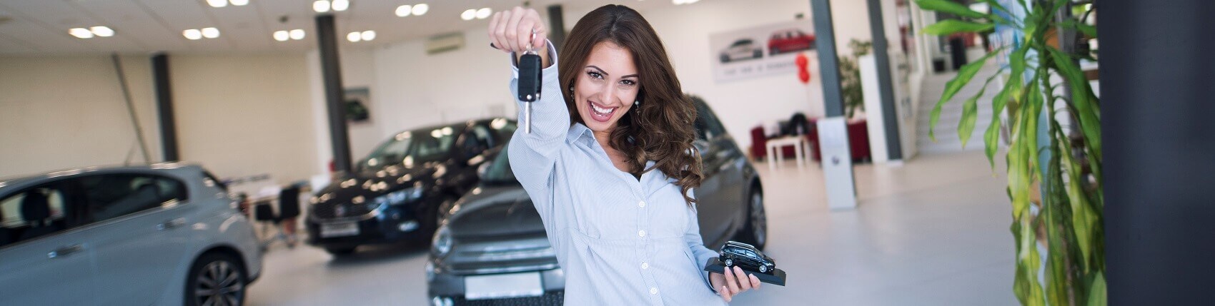 Finance Dealer Lease