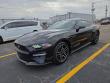 Used 2018 Ford Mustang EcoBoost EcoBoost Fastback