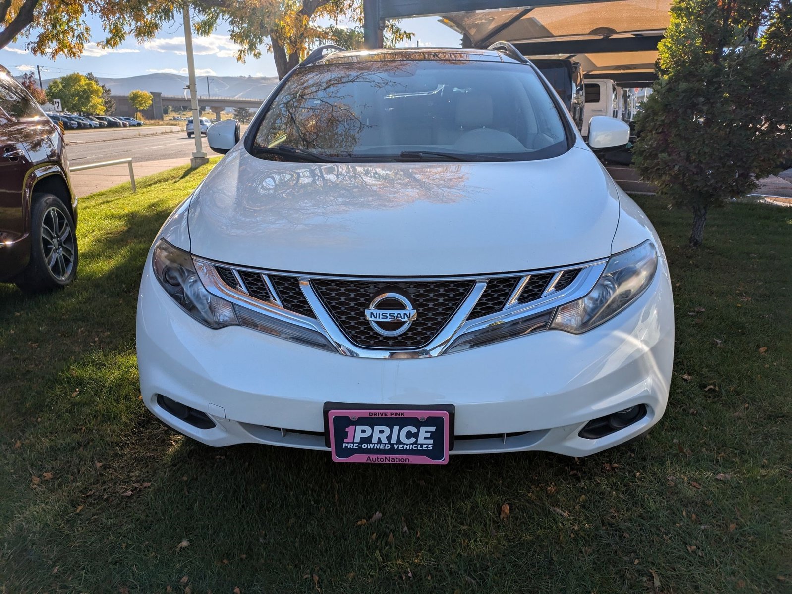 2014 Nissan Murano SL photo 2