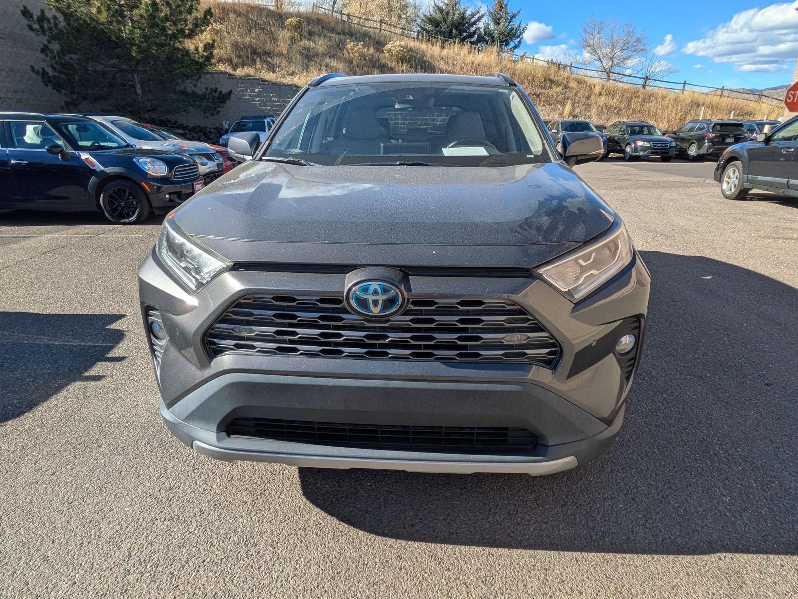 2021 Toyota RAV4 Hybrid Limited photo 2