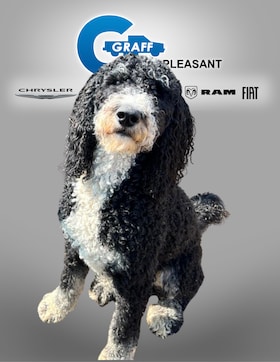 Staff member Willow from ID_61b709