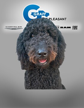 Staff member Ruby from ID_61b709