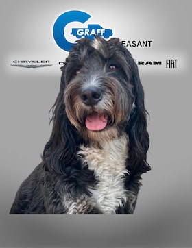 Staff member Bernadette from ID_61b709