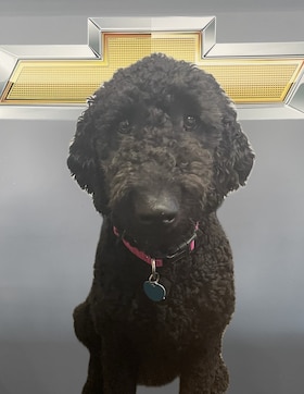 Staff member Ruby from cc094a4ba621