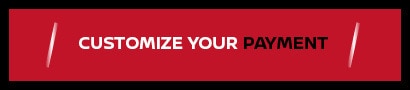 Customize Your Payment