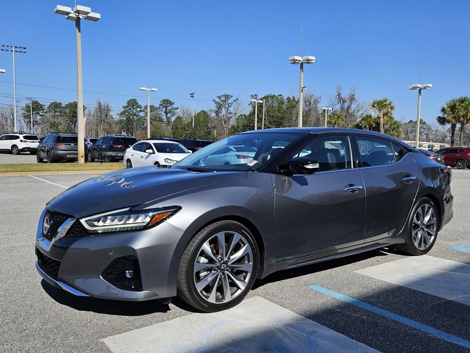 Used 2023 Nissan Maxima Platinum with VIN 1N4AA6FV8PC501076 for sale in Savannah, GA