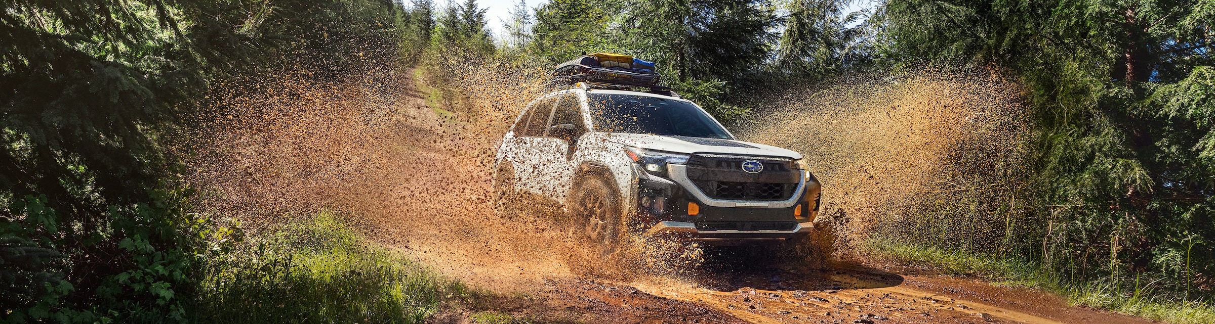 Subaru Forester Wilderness Subaru Forester Wilderness