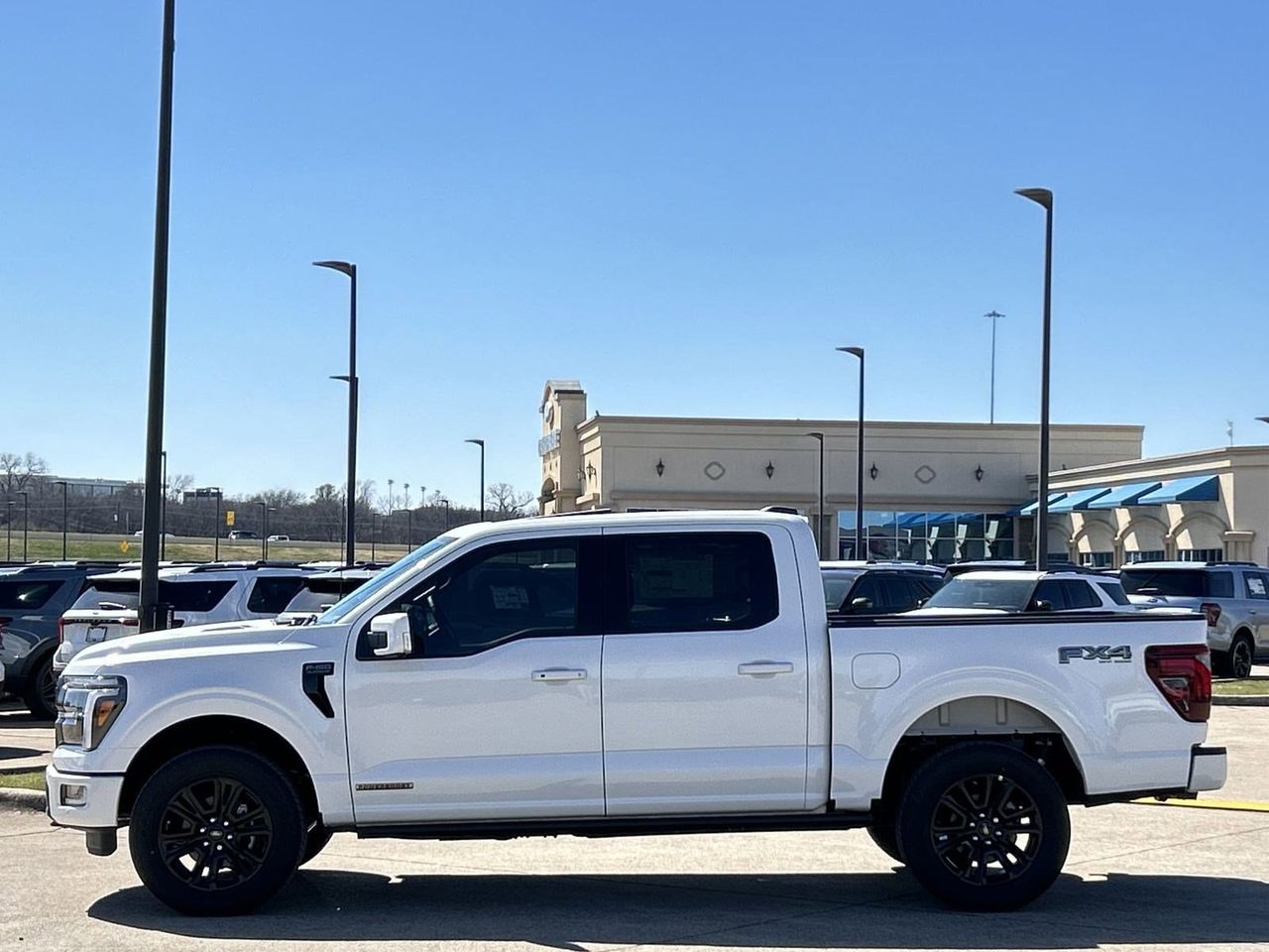 2025 Ford F-150 Platinum photo 3