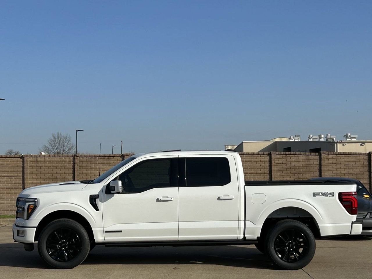2025 Ford F-150 Platinum photo 3