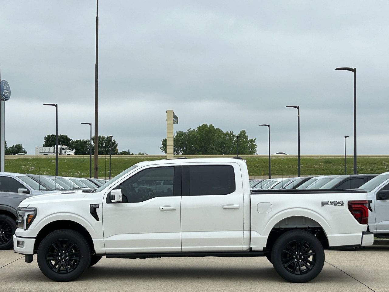 2025 Ford F-150 Platinum photo 3