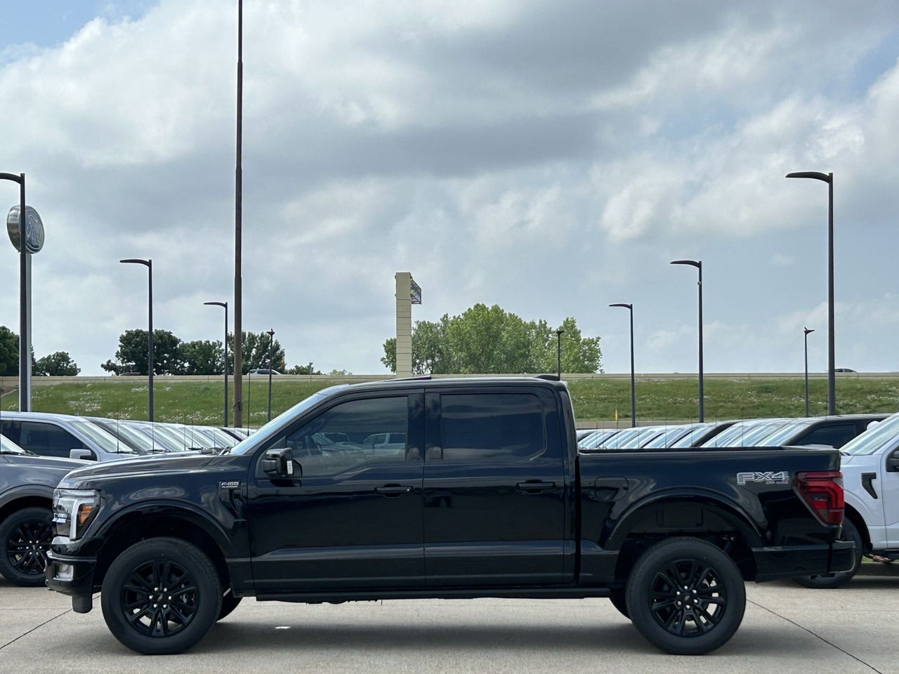 2025 Ford F-150 Platinum photo 3