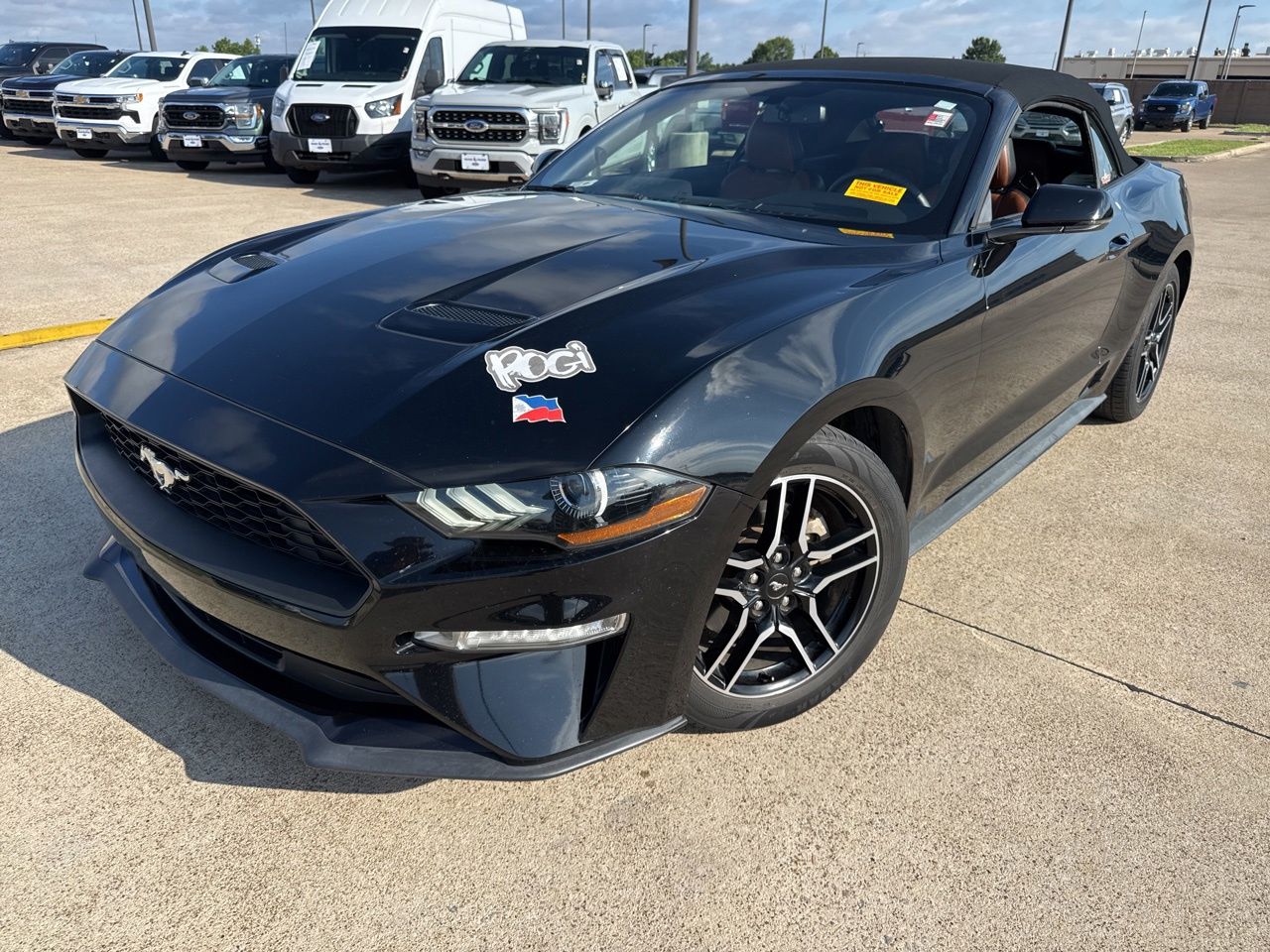 2019 Ford Mustang EcoBoost Convertible Premium's photo