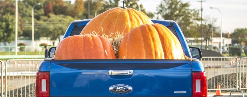 Grand Prairie Ford Halloween Costume Contest