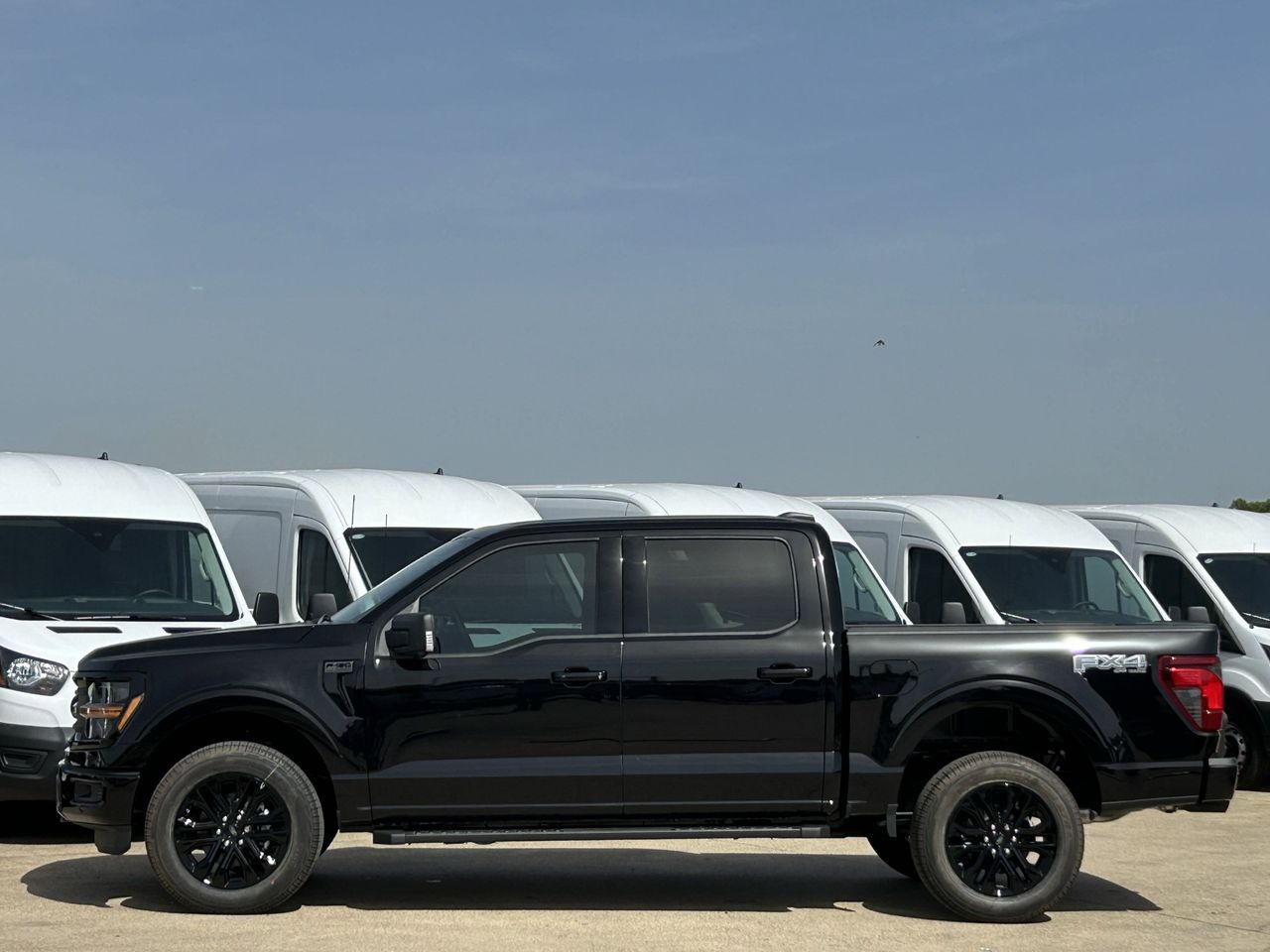 2025 Ford F-150 XLT photo 3