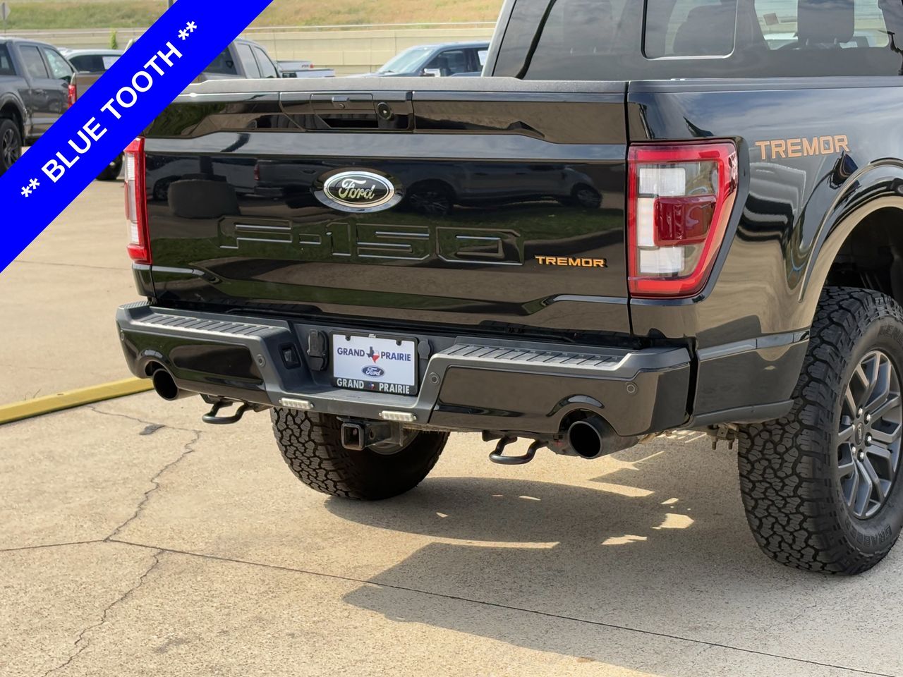 2023 Ford F-150 Tremor - Photo 8