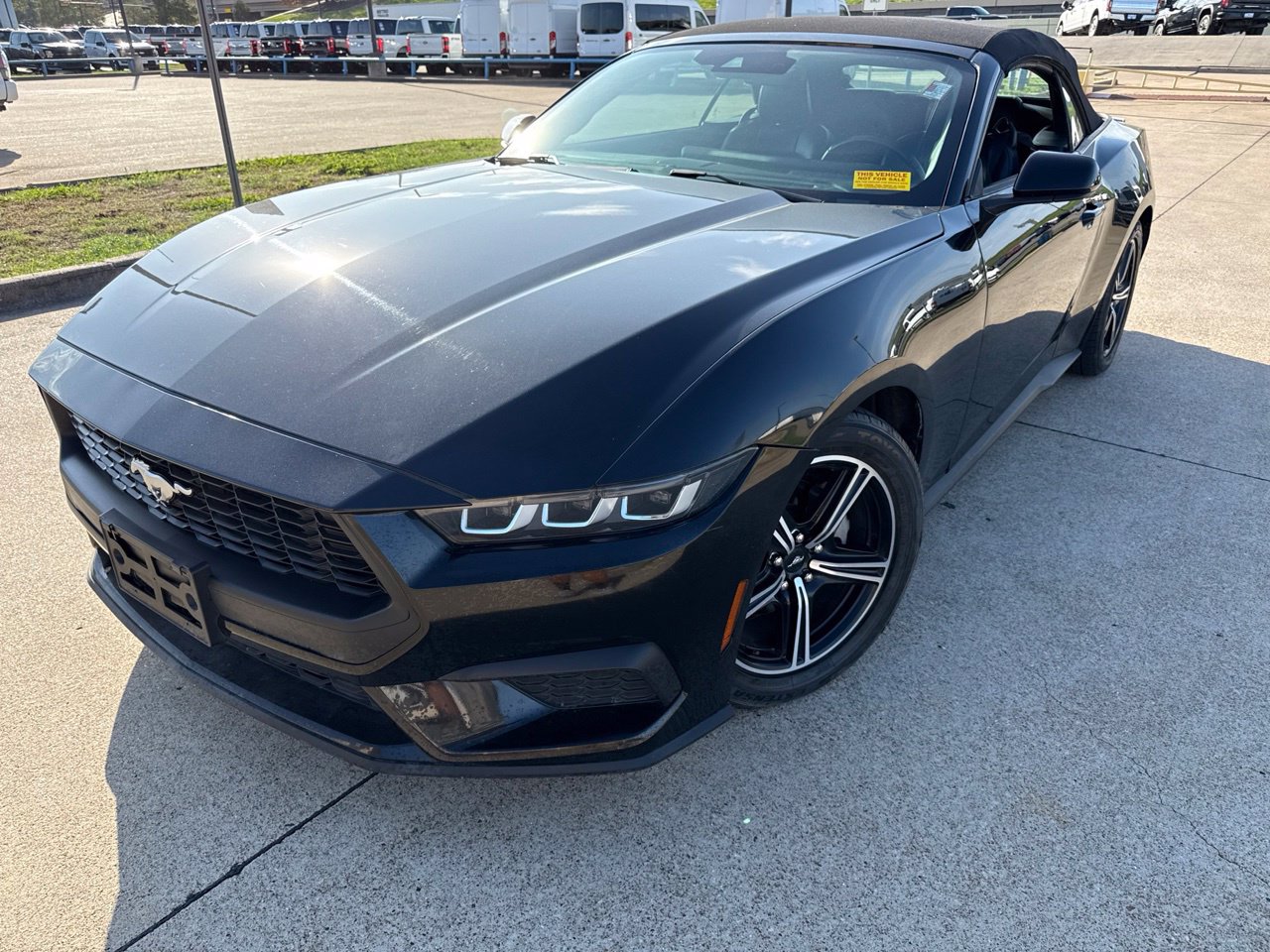 Shadow Black 2024 Ford Mustang Convertible Rear-Wheel Drive Automatic