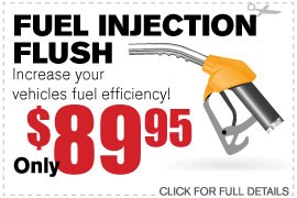 Fuel Injection Flush