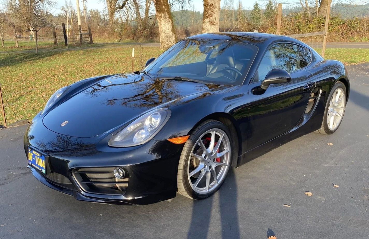 2015 Porsche Cayman S's photo