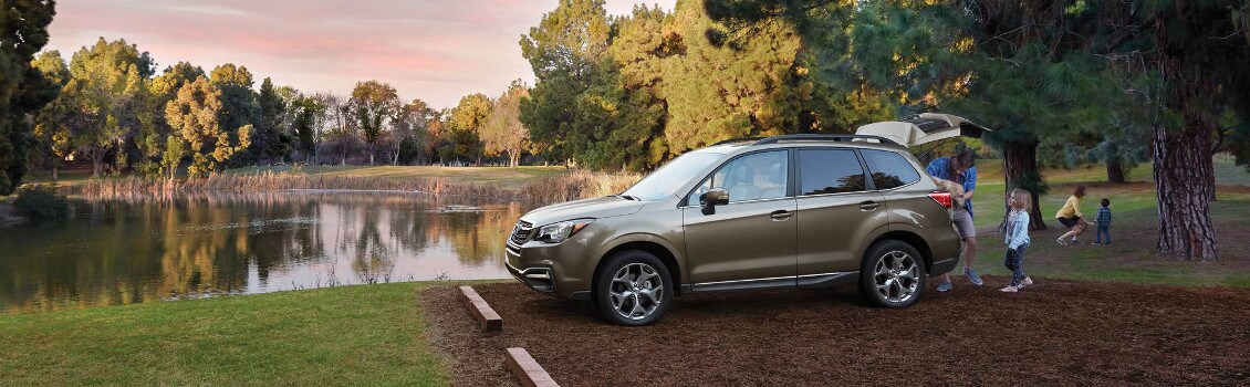 2017 Subaru Forester parked near lake