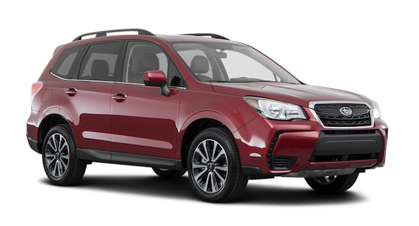 Forester.png
