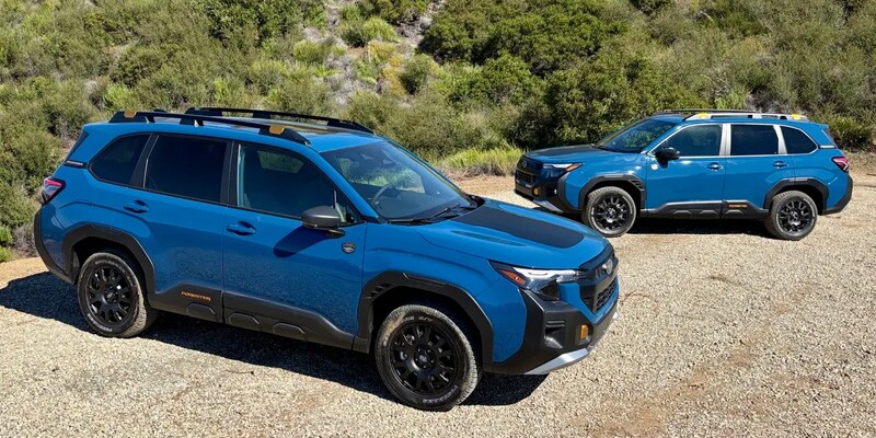 New Subaru Forester Wilderness for Sale Elmhurst IL