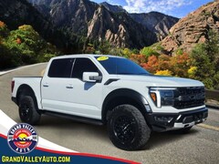 2024 Ford F-150 Raptor Truck