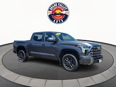 2025 Toyota Tundra Platinum Truck