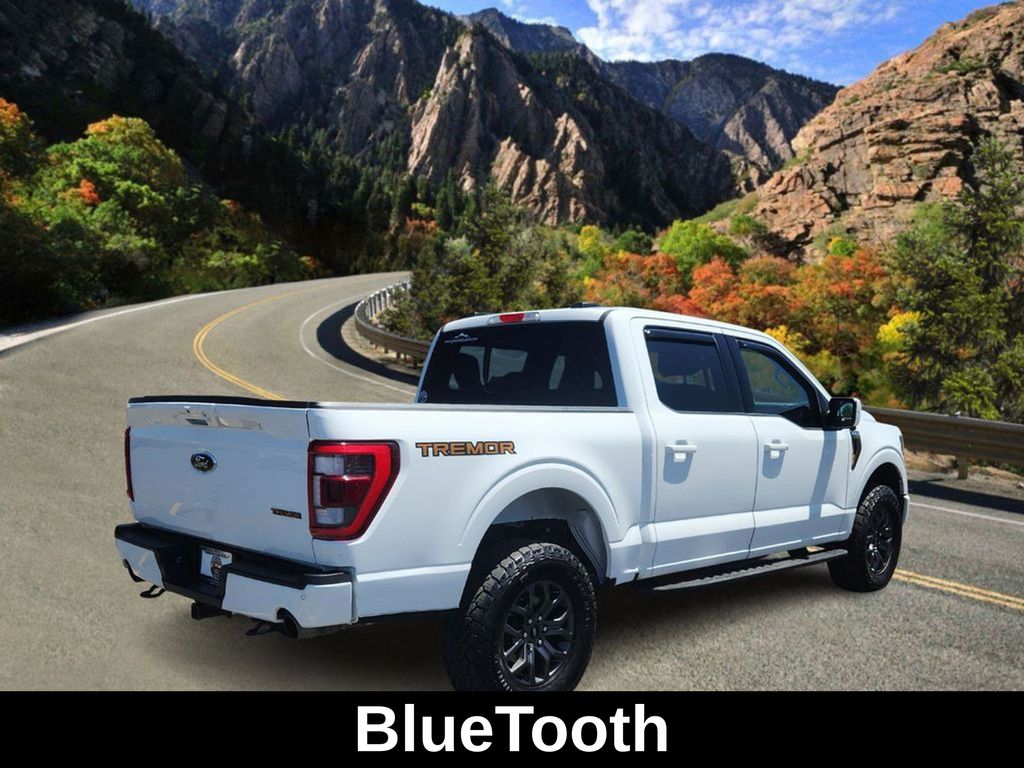 2023 Ford F-150 Tremor photo 3