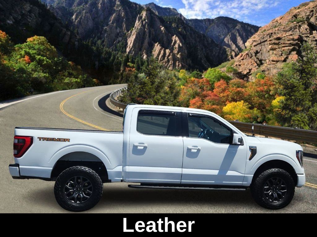 2023 Ford F-150 Tremor photo 2