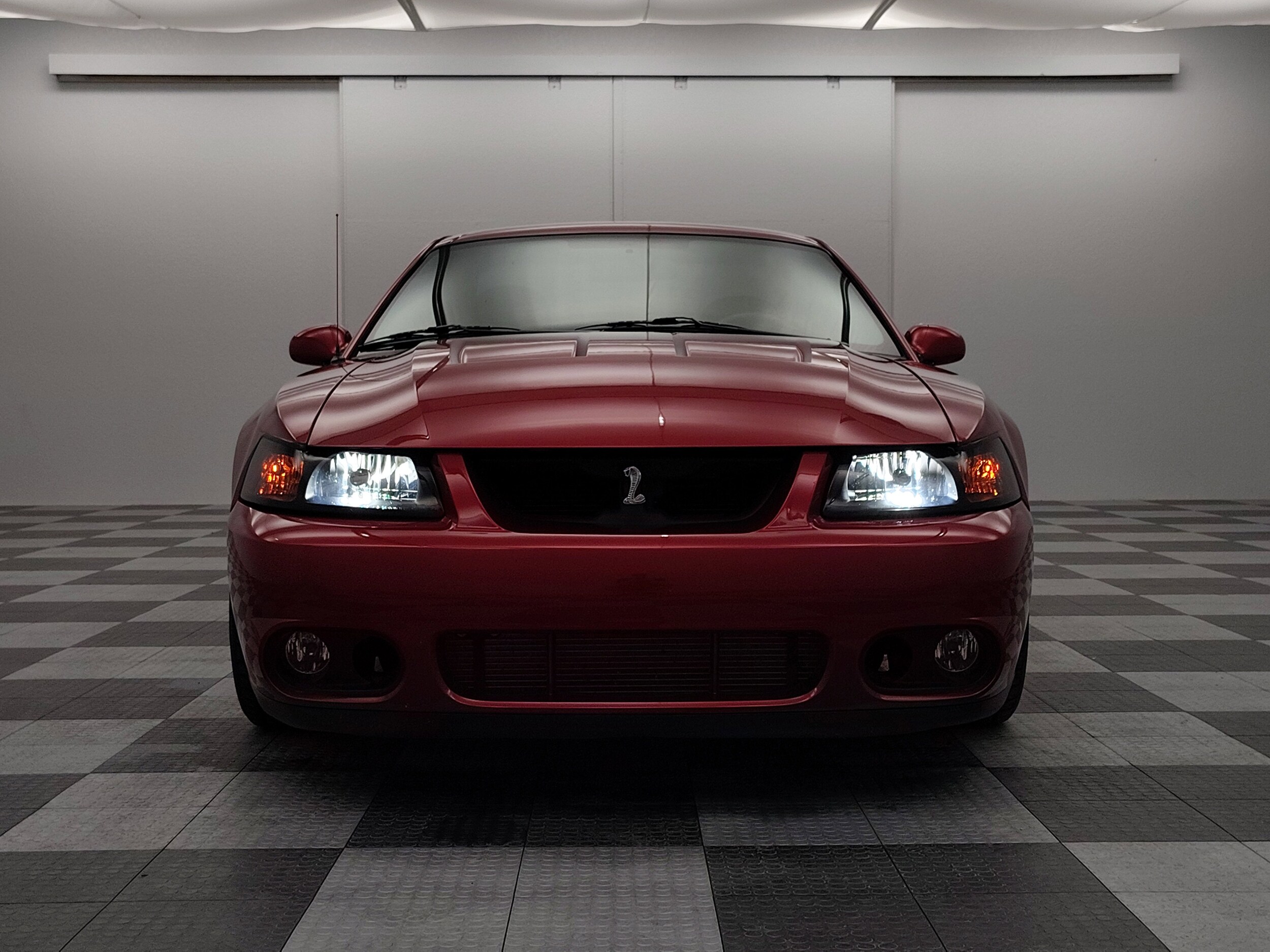 2003 Ford Mustang Cobra photo 3