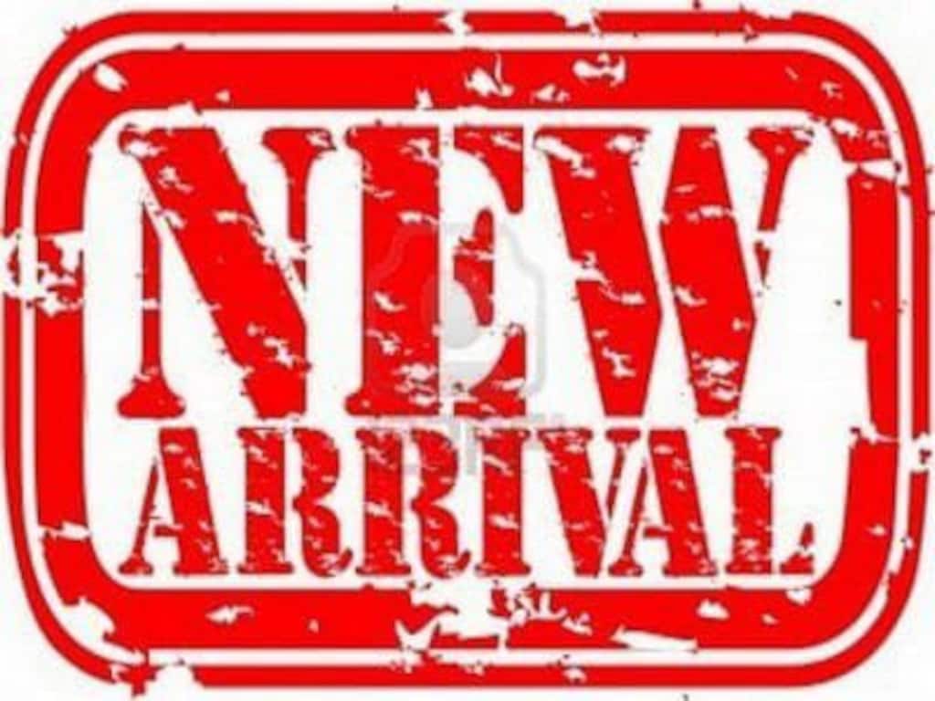 Used 2023 Dodge Challenger R/T Scat Pack Car