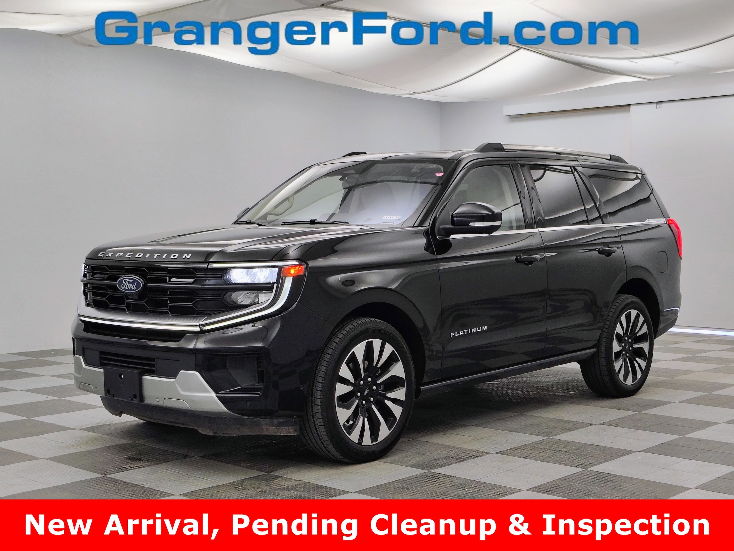2025 Ford Expedition Platinum 4x4's photo
