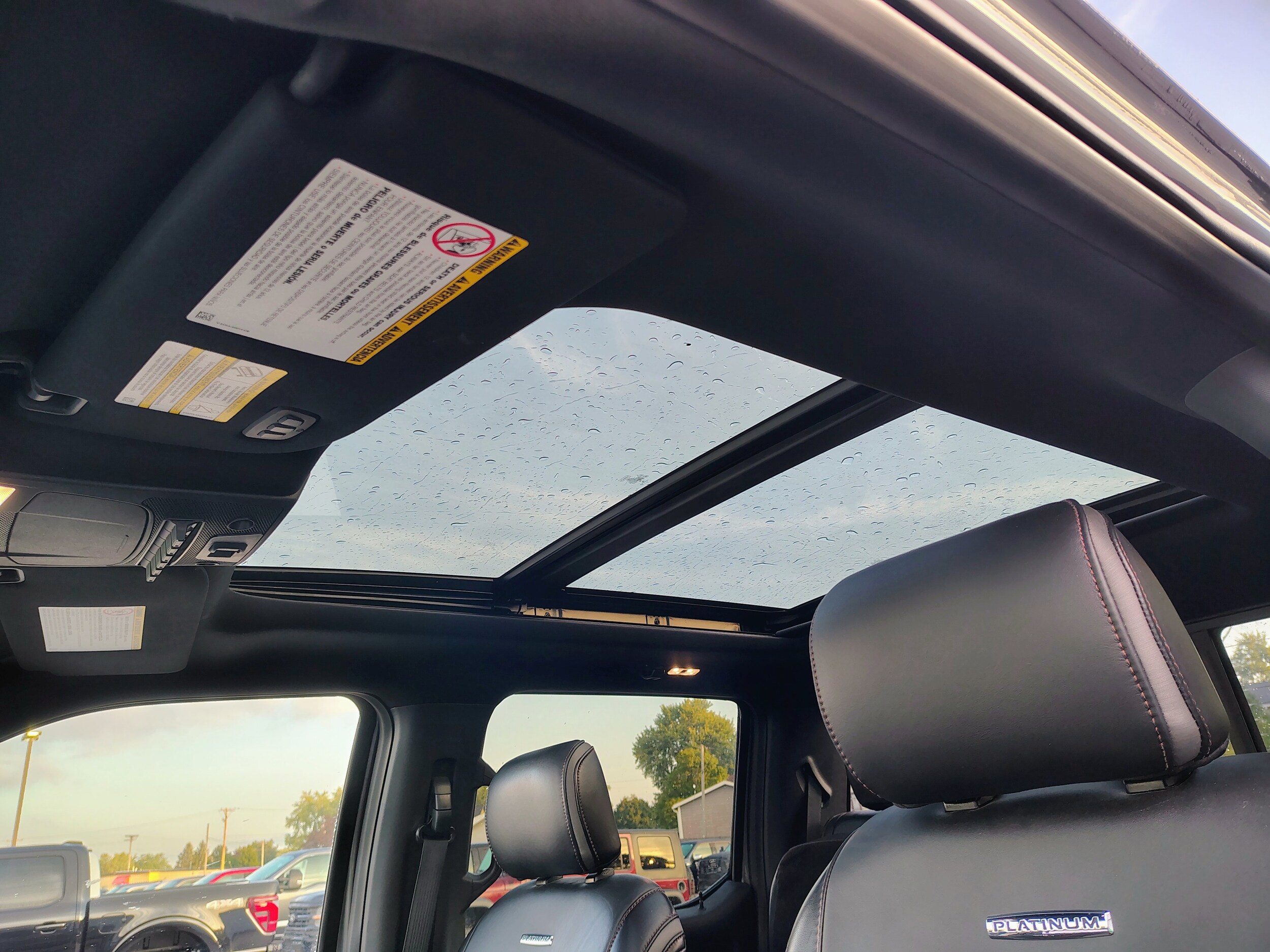 2021 Ford F-250 Platinum photo 3