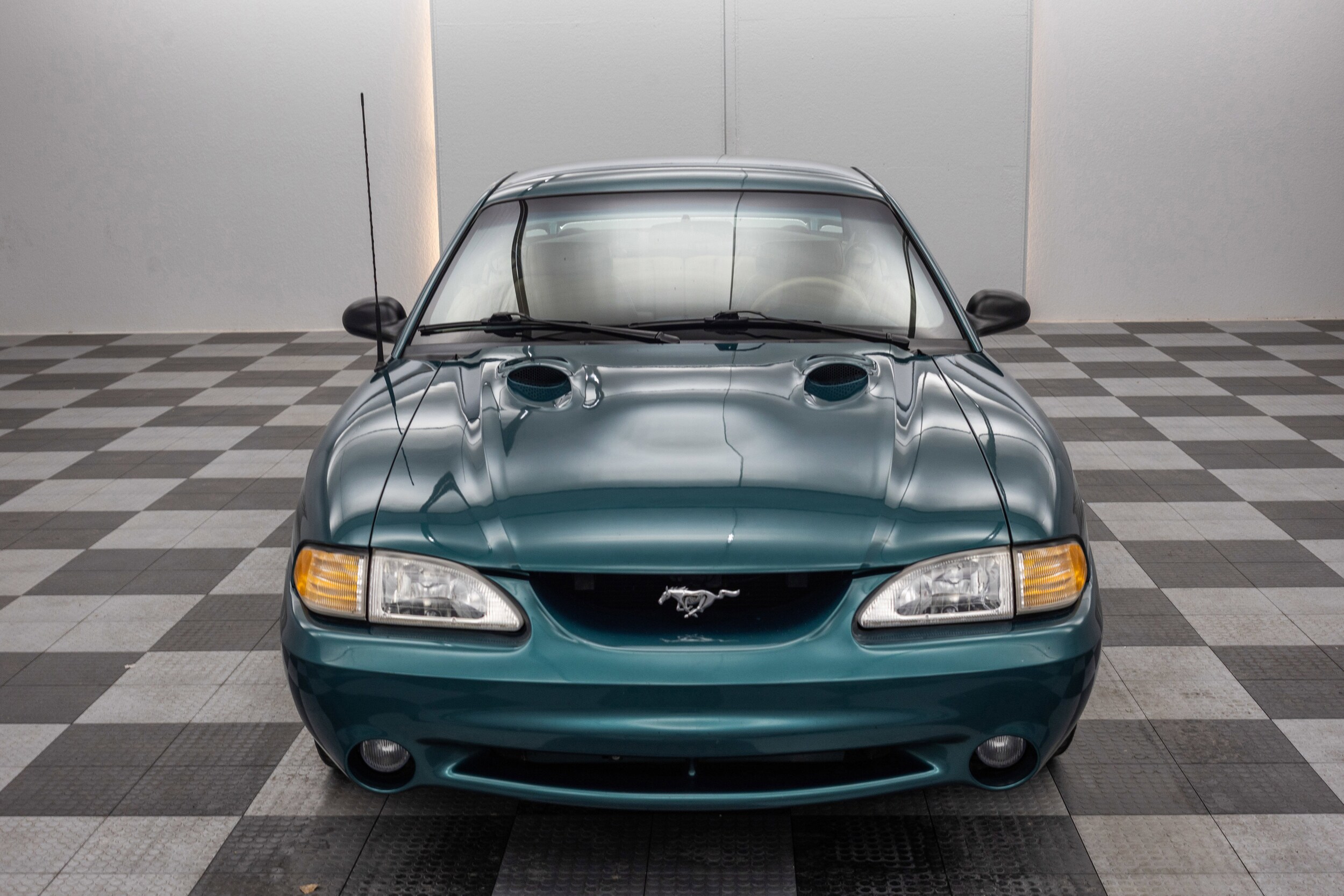 1997 Ford Mustang Cobra photo 3