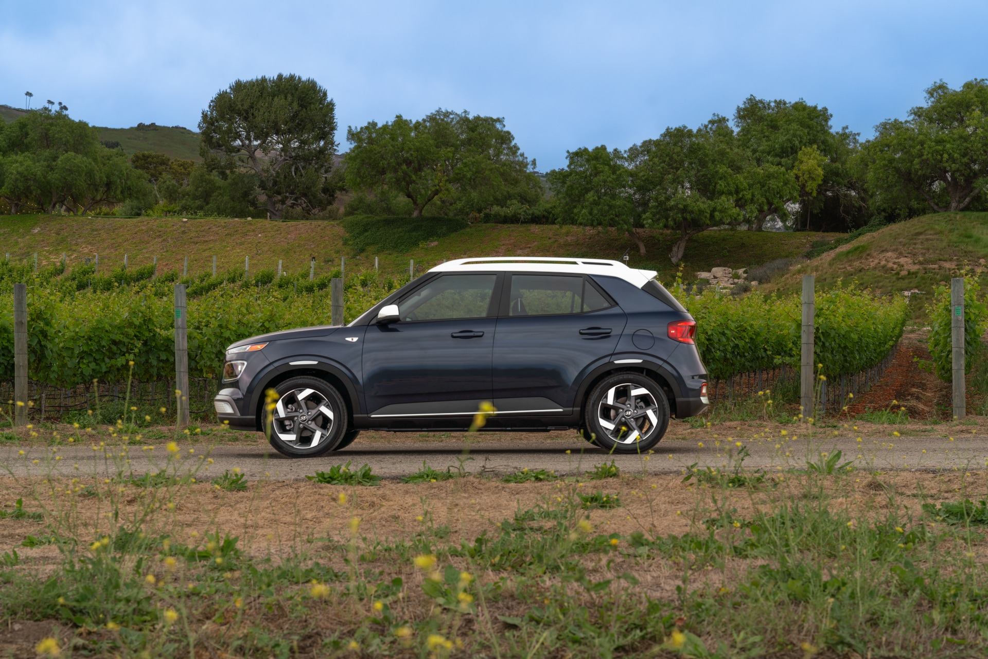 An exterior view of the Hyunda Venue Limited edition