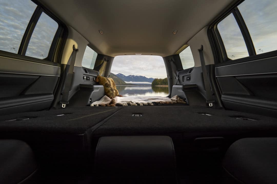 2024 Hyundai Santa Fe Interior