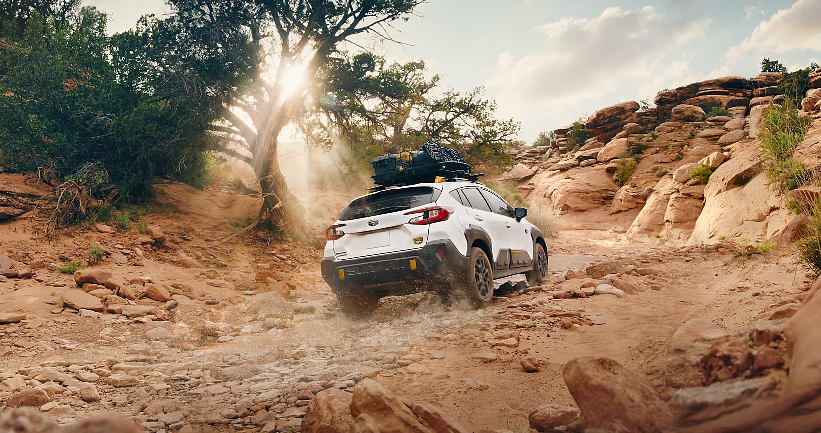 2025 Subaru Crosstrek Wilderness back