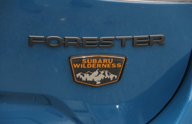 2022 Subaru Forester Wilderness - Photo 10