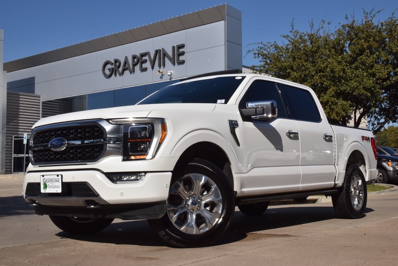 2022 Ford F-150 Platinum's photo