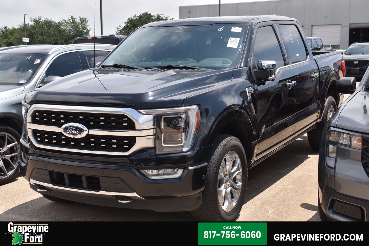 2023 Ford F-150 Platinum 4x4 SuperCrew 5-1/2 Box's photo