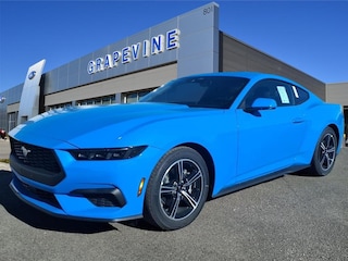 2025 Ford Mustang Ecoboost Coupe 2025 Ford Mustang Ecoboost Coupe