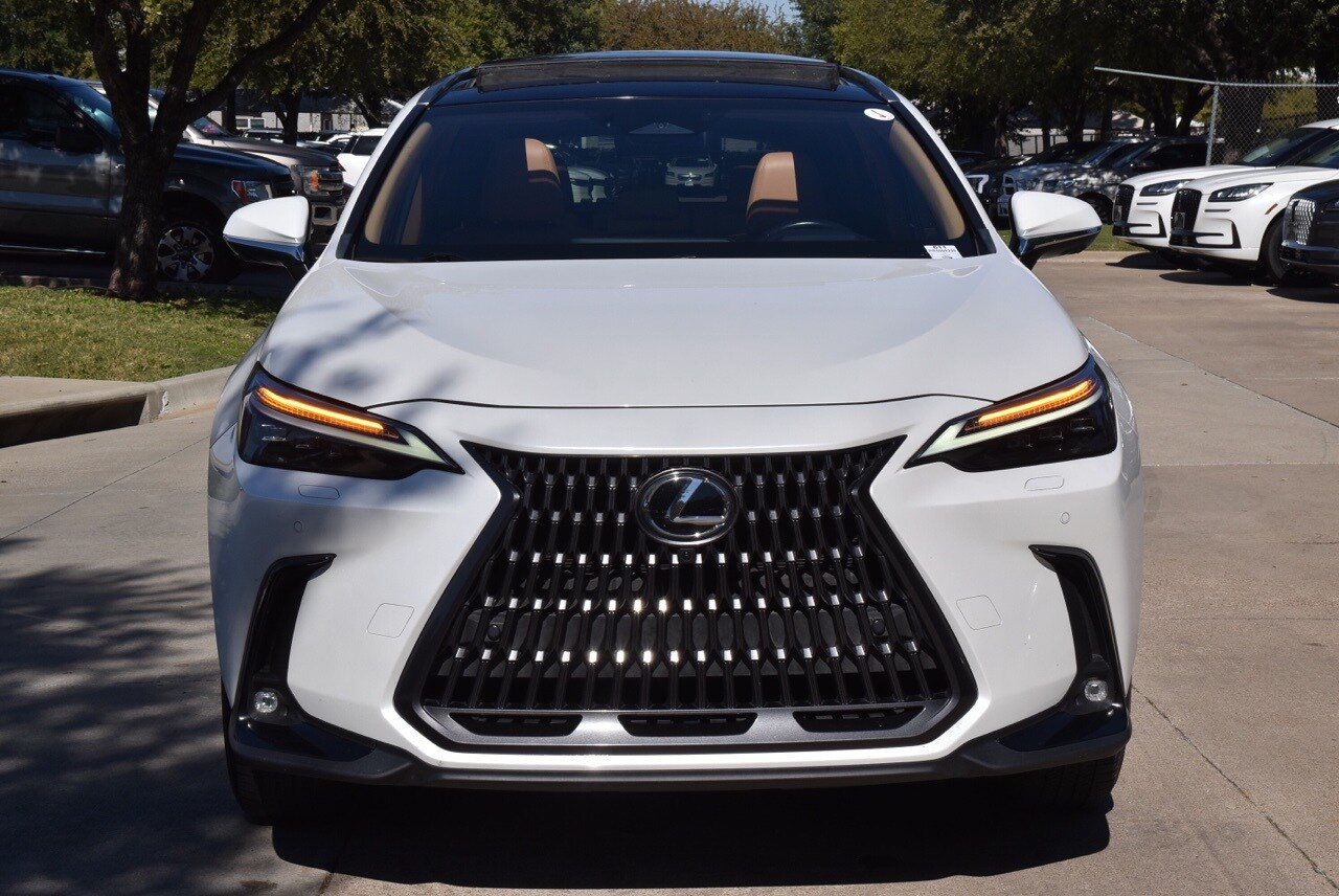 2024 Lexus NX 350 Luxury photo 2