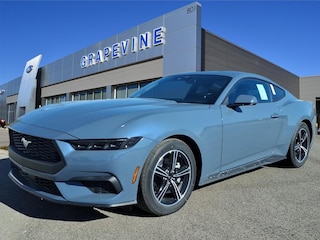 2025 Ford Mustang Ecoboost Coupe 2025 Ford Mustang Ecoboost Coupe