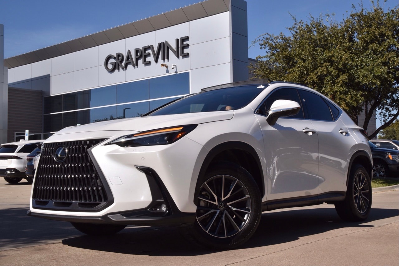 2024 Lexus NX 350's photo