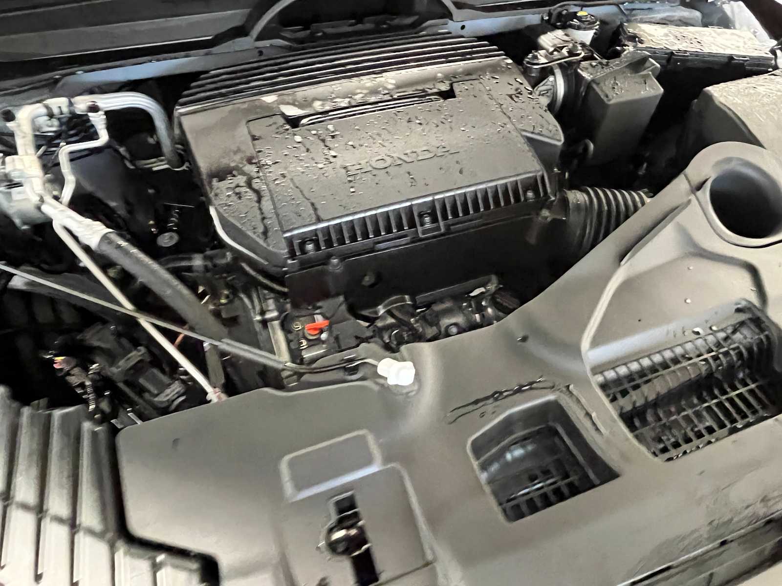 Thumbnail: 2025 Honda Pilot - 13